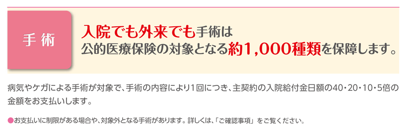 ボーナス：手術保障