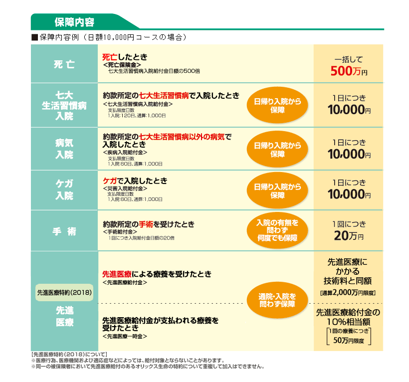 保障内容