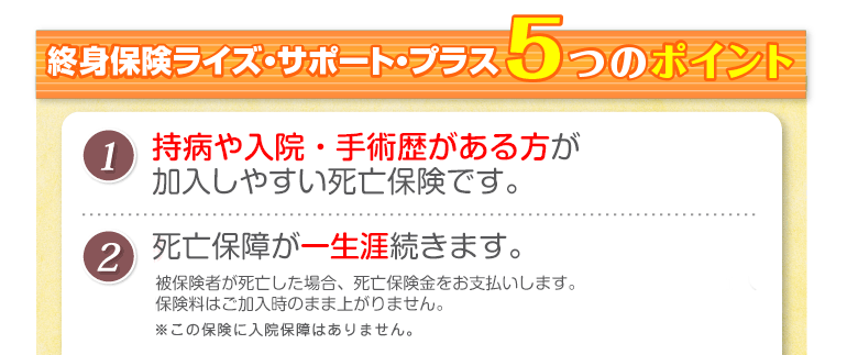 終身保険 ライズ・サポート・プラス　5つのポイント