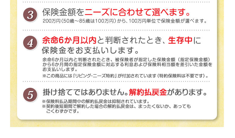 終身保険 ライズ・サポート・プラス　5つのポイント