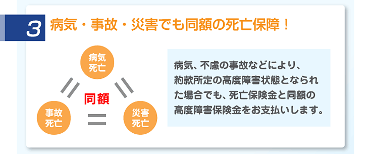 病気・事故・災害でも同額の死亡保障