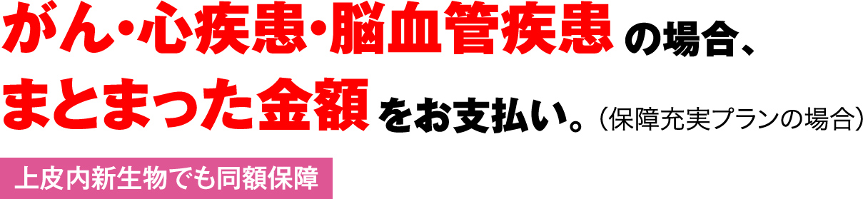 がんと診断/入院、心疾患・脳血管疾患で入院した場合に一時金をお支払い。(保障充実プランの場合)