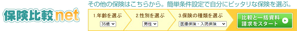 保険比較ネット